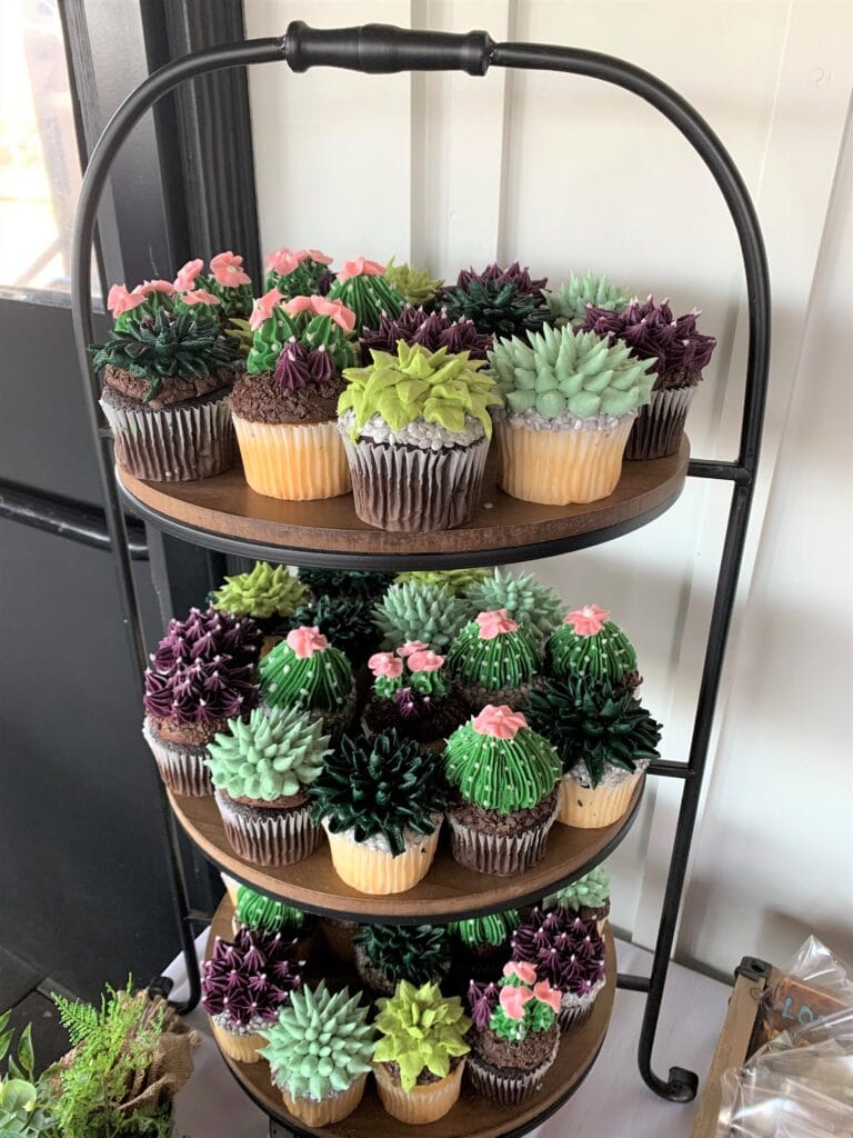 succulent cupcakes