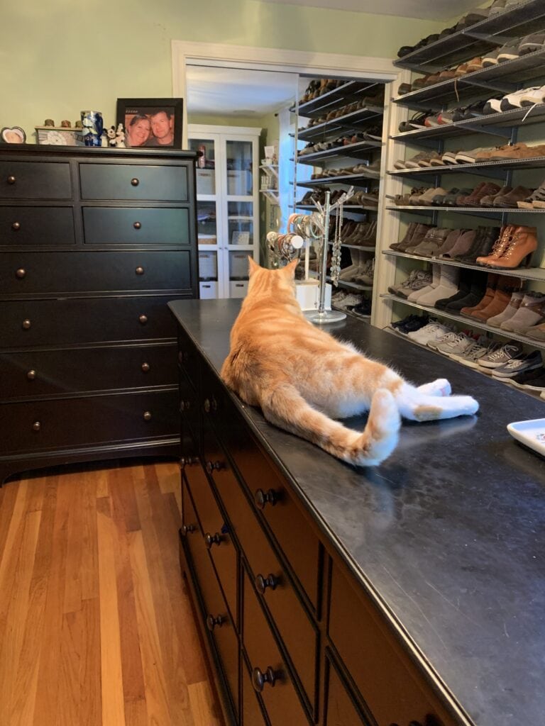 my closet with shoe storage and dressers
