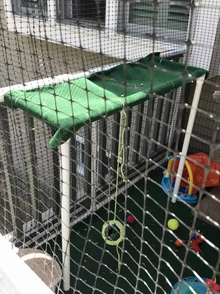 close up of a perch made from PVC pipes inside a custom catio or cat enclosure