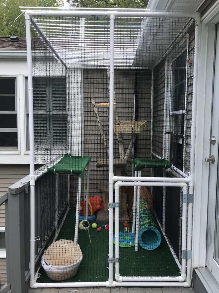 finished view of a custom made catio or cat enclosure made from PVC pipes and garden netting