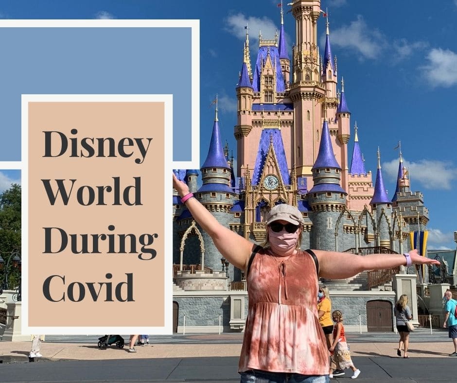 Disney castle during covid