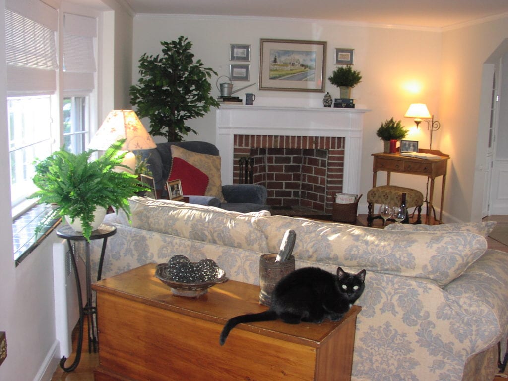 Living room redesign after