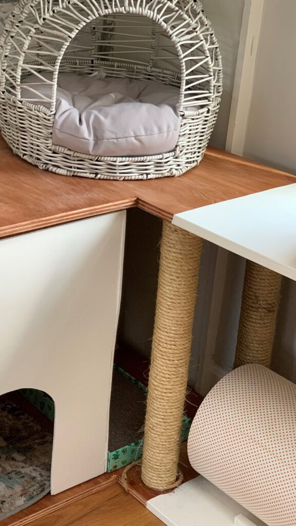 close up of cat furniture