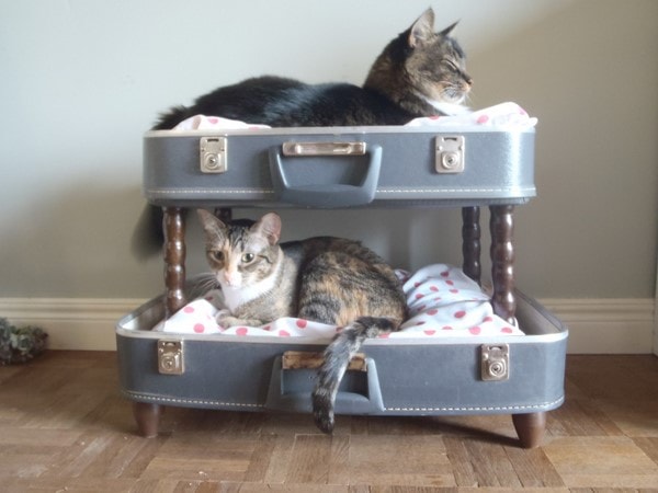 pet bed made from vintage suitcases