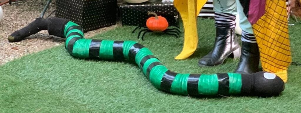 snake and pumkin spiders DIY
