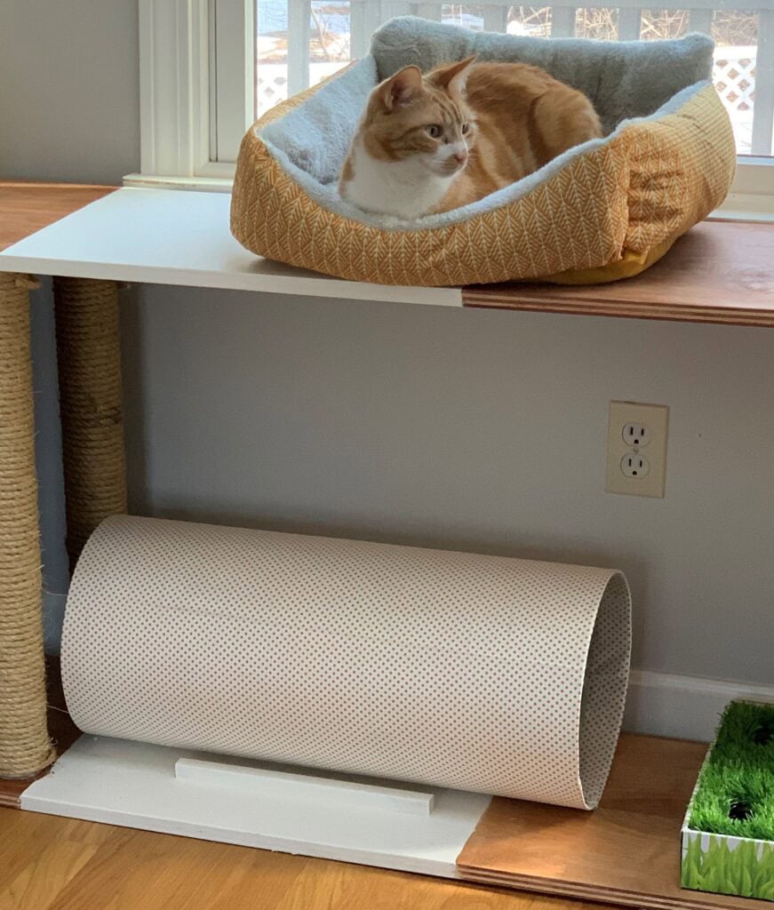 cat tunnel inside a custom cat furniture piece