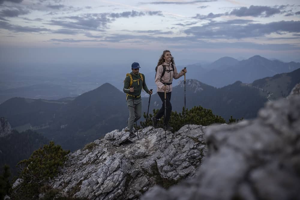 Leki Poles