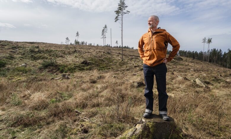 Icebug helps secure ultimate protection for Swedish old-growth forest