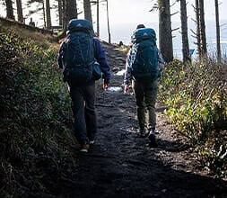 Hikers with backpacks walking along a forest trail in outdoor nature.
