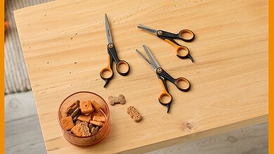 Grooming scissors and pet care tools for dogs on a wooden table with treats.
