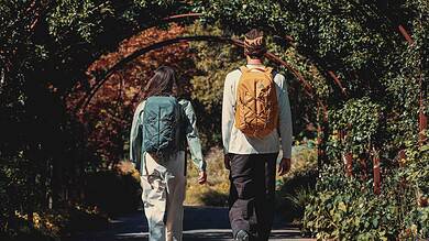 Hikers walking through a lush, green archway on a trail in autumn.