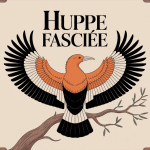 huppe fasciée présage branche crête ornement culture