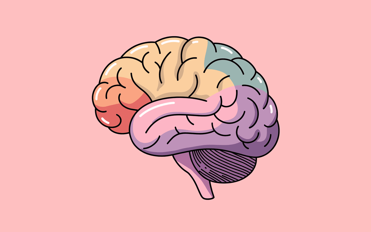 rêver d une personne avec qui on est en conflit cerveau résolution conflits