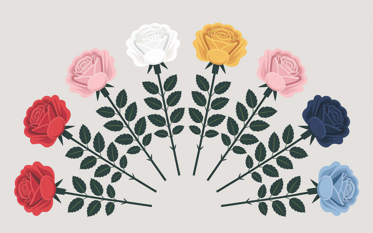 Rose symbole palette de couleurs variétés