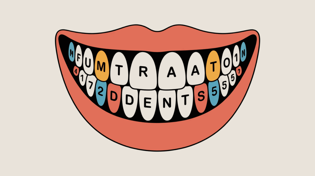 Schéma quadrants bouche numero des dents