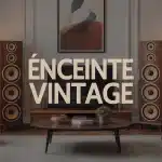 Enceinte vintage bois années 70 salon rétro élégant