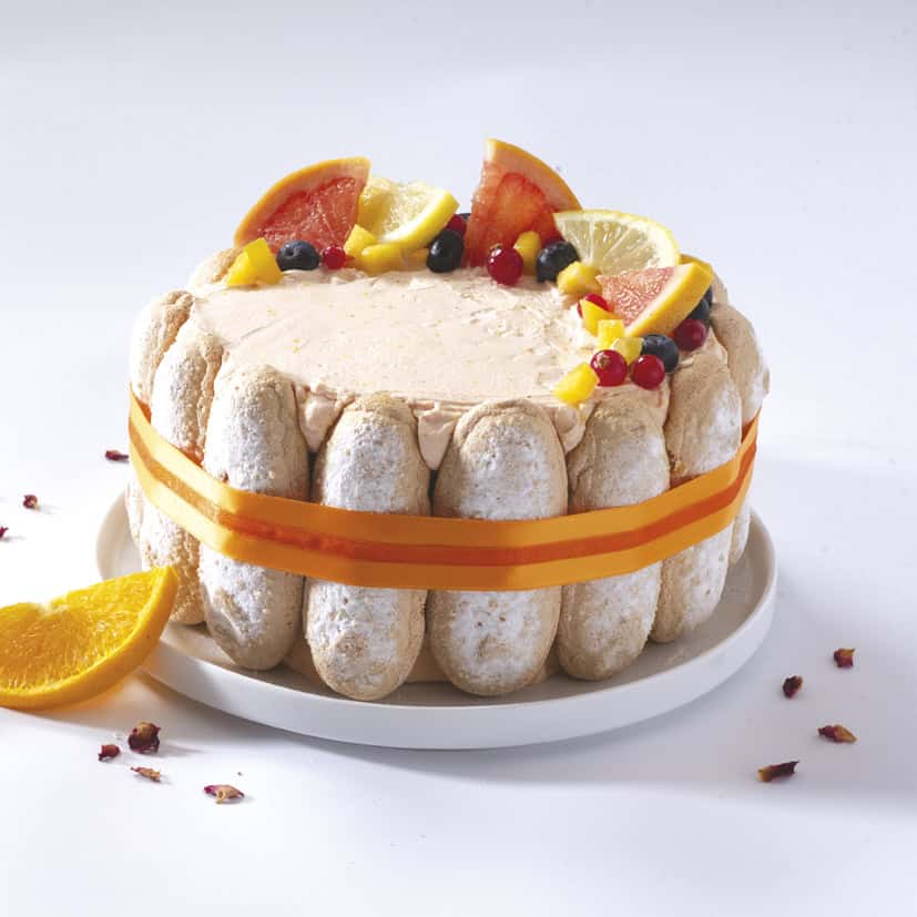 128 Zachte Biscuitcake Lepels 9.7 Cm