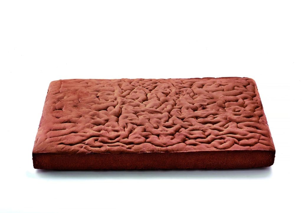 6×1 Sponge Cake 1/2 Blocks Choco Flowpack