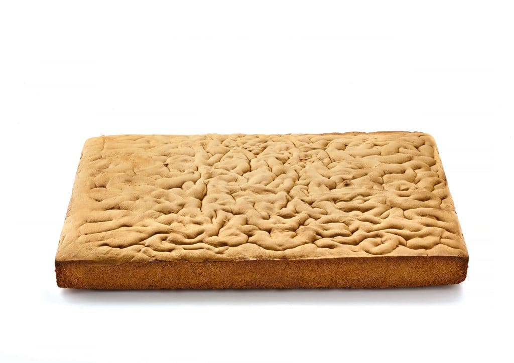 6 Sponge Cake Blocks 25x35cm Sweet Frozen