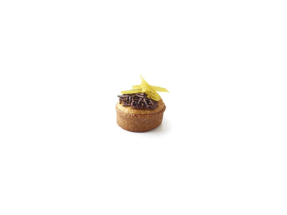 1.5″ Vegan round mini Trendy shell graham