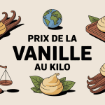 illustration prix de la vanille au kg gousses et commerce
