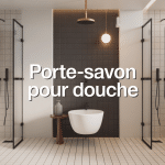 Illustration porte-savon pour douche, modèles et matériaux