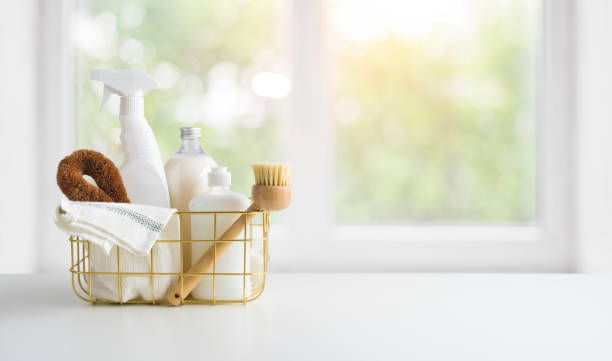 Japan Natural Household Cleaners Market Outlook 2035: Size, Share, and Growth Insights Revealed