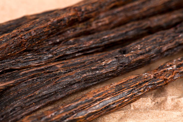 Japan Vanillin Market Future Scope: Size, Share, and Growth Projections by 2035