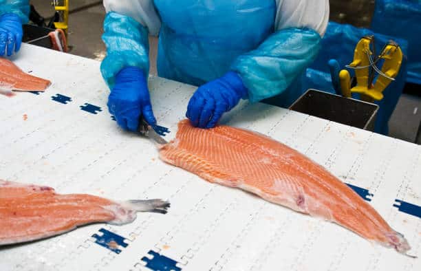 U.S. Fish Processing Market Growth Forecast: Market Drivers, Challenges, & Trends (2025-2035)