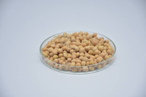 Japan Soybeans Phytosterol Market Growth Forecast: Market Drivers, Challenges, and Trends (2025-2035)