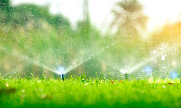 China Smart Irrigation Controller Market Pathways: Comprehensive Analysis of Size, Share, and Growth Trends until 2035
