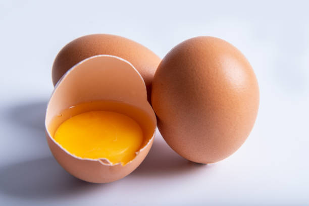 U.S Protein Expression Systems Market Growing Strong; Know More