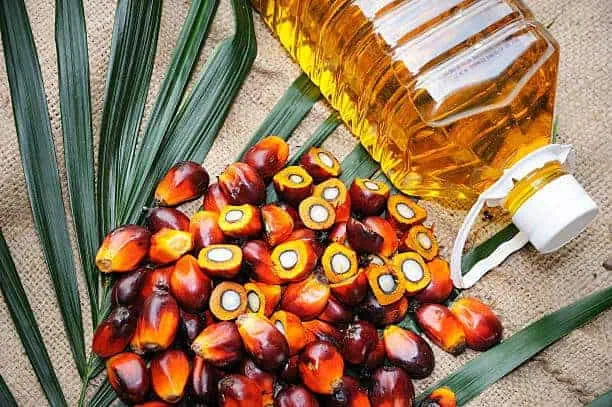China Palm Oil Market Future Scope: Size, Share, & Growth Projections by 2035