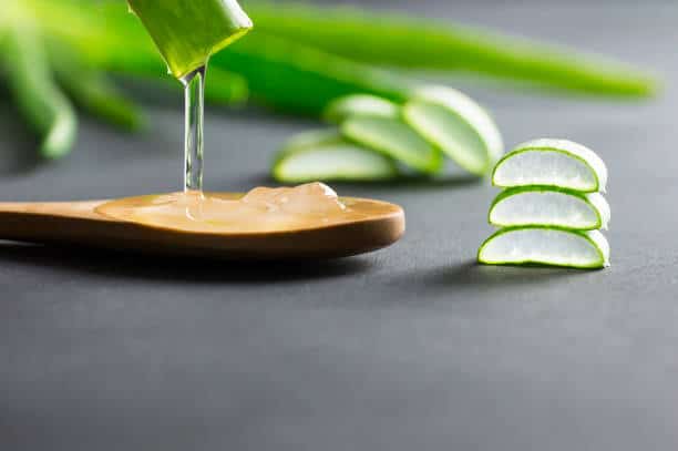 CHINA Aloe vera extract Market Outlook 2025: Forecasting Growth in a Time of Economic & Policy Shifts