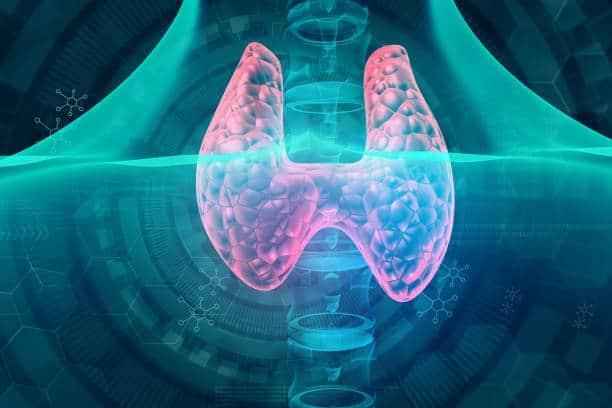 Japan Antidiuretic Drugs Market Intelligence Report: Recession Readiness and Tariff Implications Japan Antidiuretic Drugs Market Intelligence Report: Recession Readiness and Tariff Implications