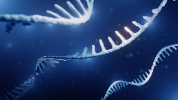 Japan Epigenetics Market Revealed Horizons: Forecast 2035 Size, Share, & Growth Insights