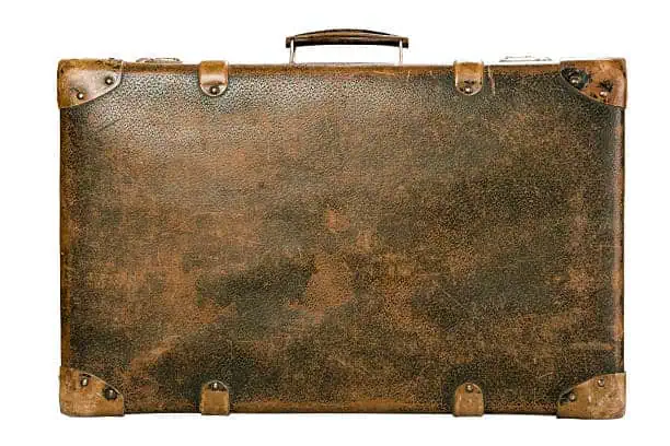 JAPAN Leather Suitcase Market Outlook 2025: Forecasting Growth in a Time of Economic and Policy Shifts