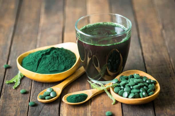 china Spirulina Market Outlook 2025: Forecasting Growth in a Time of Economic and Policy Shifts