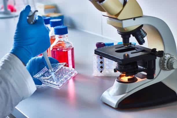 Japan Tissue Diagnostics (TDx) Market Dynamics: Regional Breakdown and Analysis