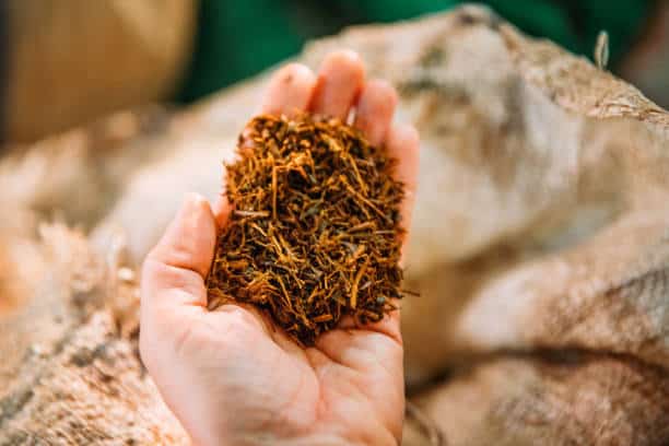 Singapore Tobacco Market in Flux: Recession Signals, Tariff Pressures & Strategic Forecasts