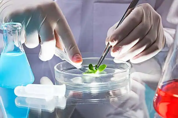china Pharmaceutical and Biotechnology Market Industry at a Crossroads: Recession Threats and the Future of Global Trade