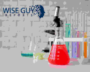 Demand Dynamics and Innovation in the High Purity Isobutylene Market