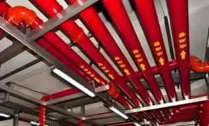 Fishing Equipment Market Industry Overview Market Drivers Trends and Opportunities