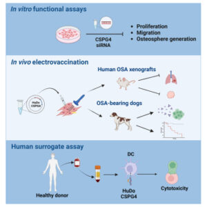 EVA Solar Film Materials Market Insights, Durability Improvements 2035