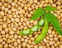 Global Non-GMO Soybean Market is Projected to Reach USD 124.6 Billion by 2030