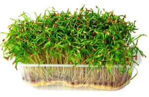 Rubber Extruder Market Market Trends Applications Technologies and Forecast