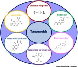 US CNC Tool Cutter Grinding Machine Market Industry Trends Automation Growth and Outlook