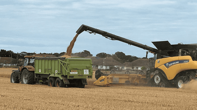 Combine harvester transferring grain into a trailer on a farm.