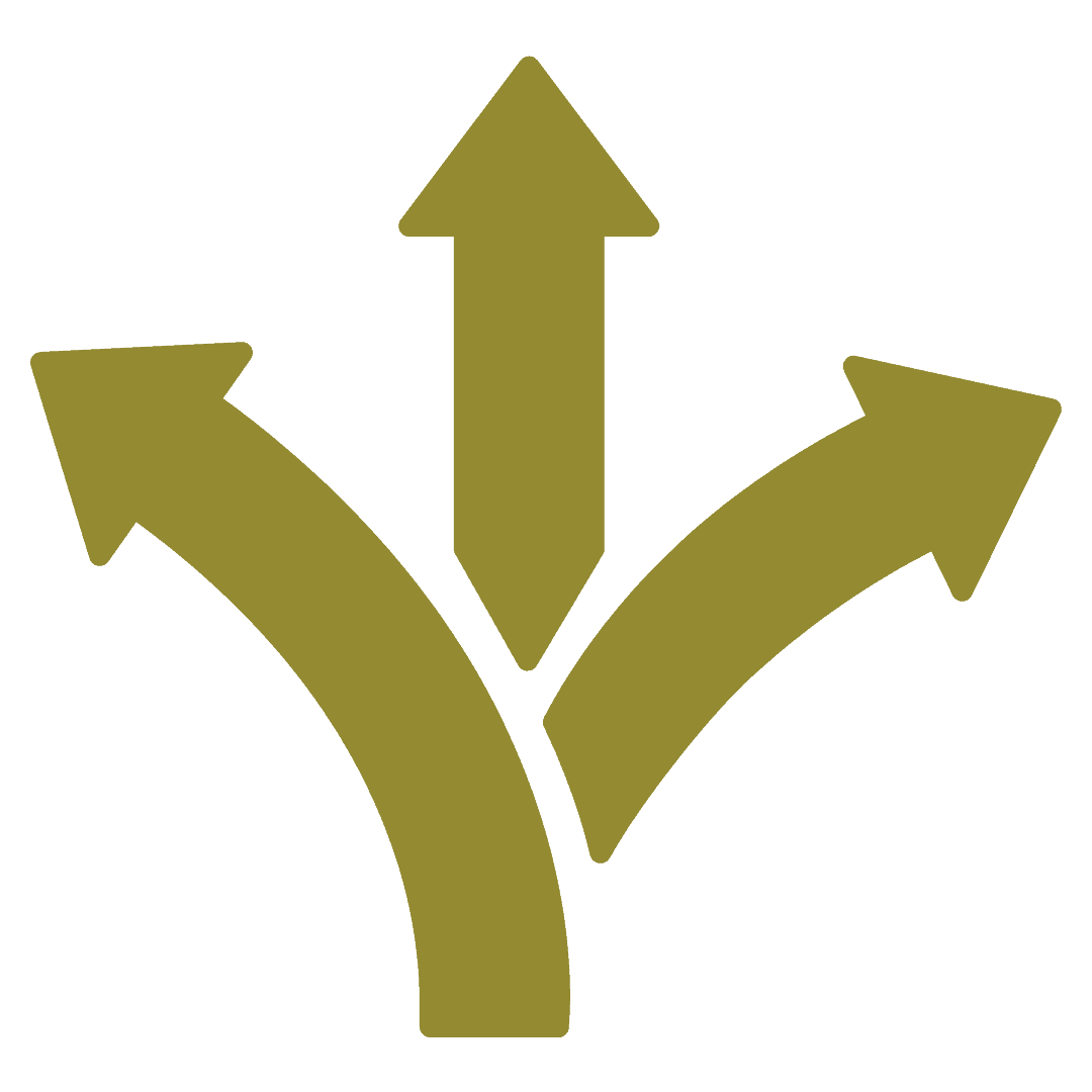 3-Guidance-icon guidance