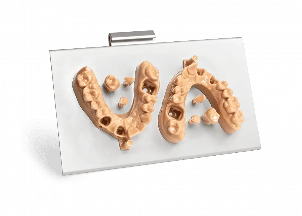 Two Crown and Bridge Models and abutments printed on the ONE's build platform
